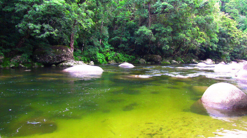 River in Forest — Green, Serene, Afternoon, Photograph, Trees, Rocks, Water, Brown