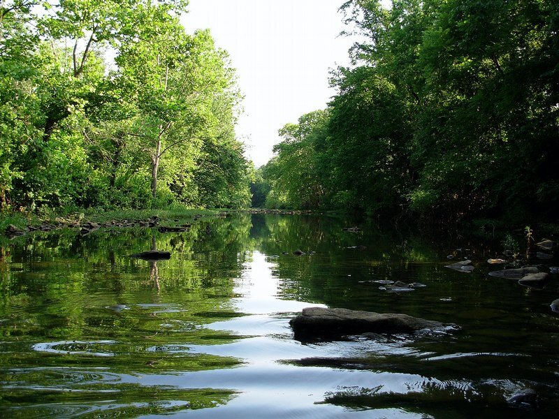 River in Forest — Green, Serene, Afternoon, Photograph, Trees, Rocks, Water