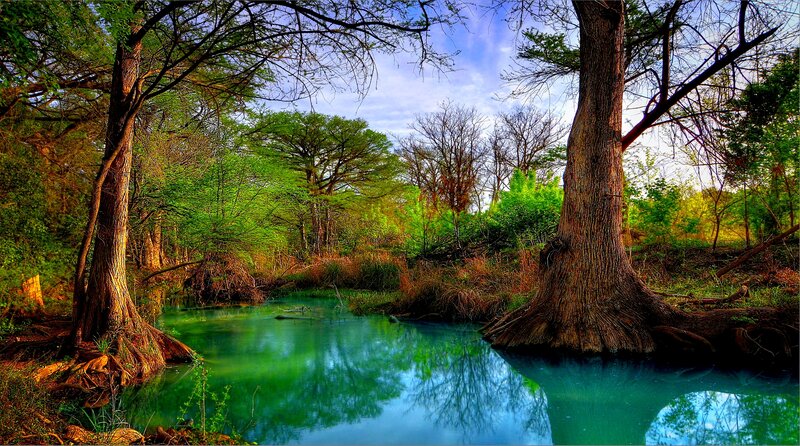 River in Forest — Green, Serene, Afternoon, Photograph, Trees, Water, Sky