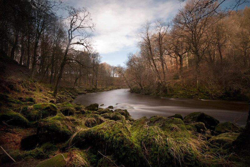 River in Forest — Green, Serene, Autumn, Photograph