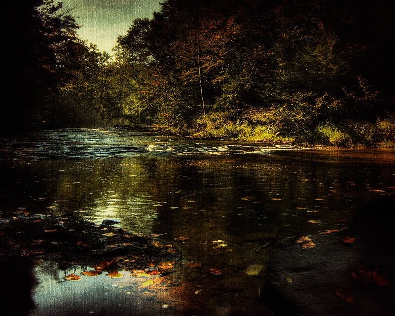 River in Forest — Green, Serene, Autumn, Photograph, Trees, Leaves