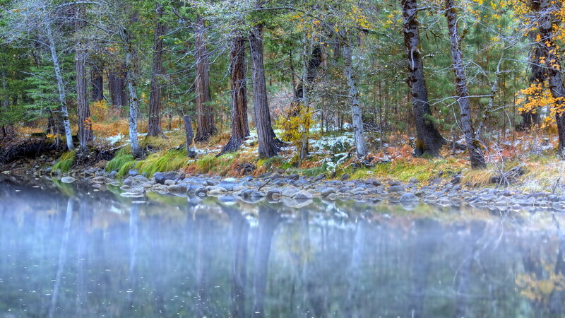 River in Forest — Green, Serene, Autumn, Photograph, Trees, Rocks, Reflection