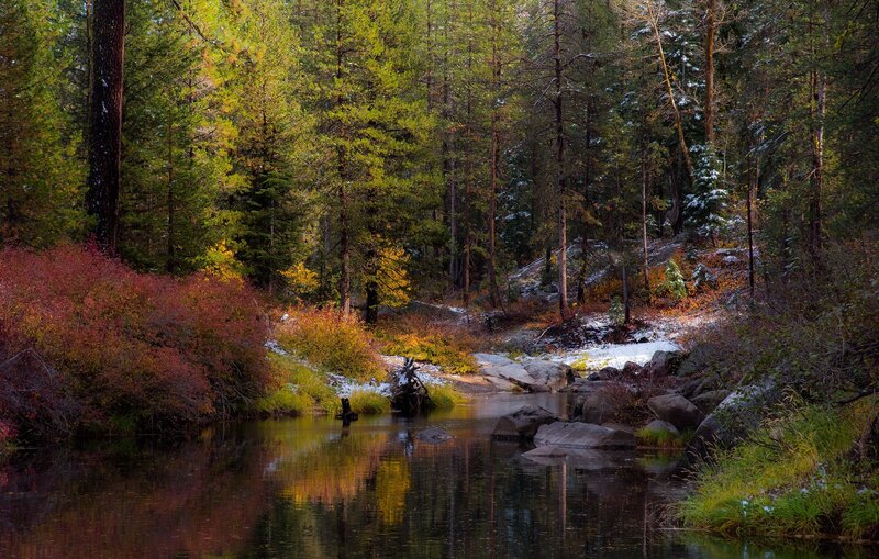 River in Forest — Green, Serene, Autumn, Photograph, Trees, Rocks, Snow