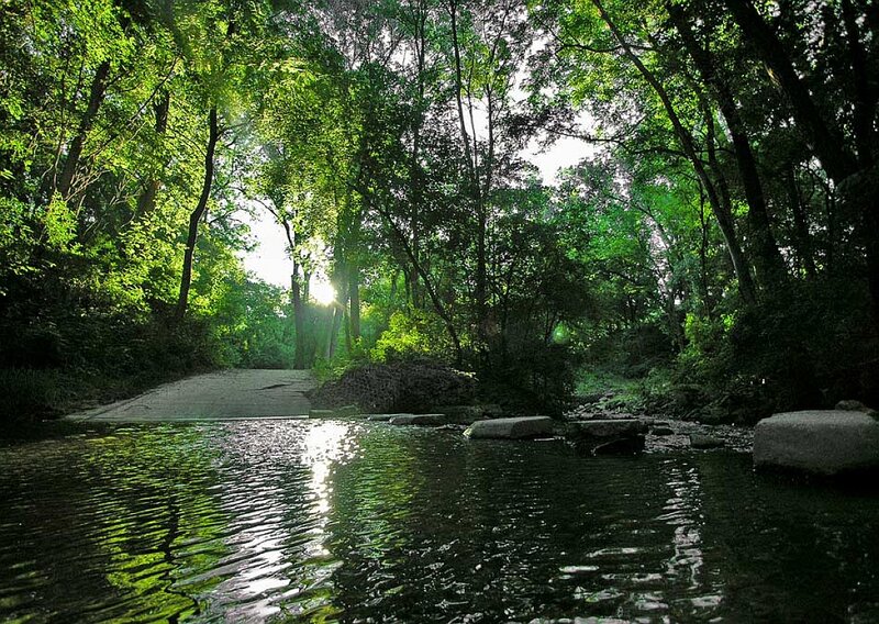 River in Forest — Green, Serene, Morning, Photograph, Trees, Sunlight, Stones