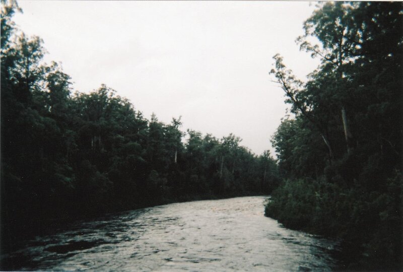 River in Forest — Green, Serene, Photograph, Trees, Sky