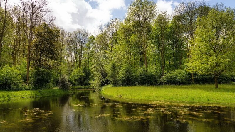 River in Forest — Green, Serene, Spring, Photograph, Trees, Grass, Sky
