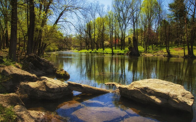River in Forest — Green, Serene, Spring, Photograph, Trees, Rocks, Log