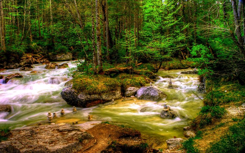 River in Forest — Green, Serene, Spring, Photograph, Trees, Rocks