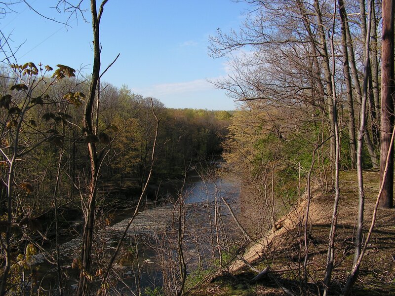 River in Forest — Green, Serene, Spring, Photograph, Trees, Sky