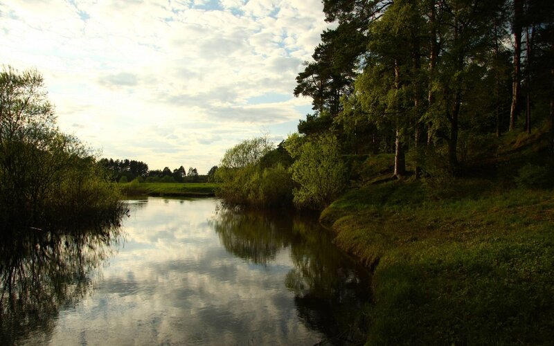 River in Forest — Green, Serene, Sunset, Photograph