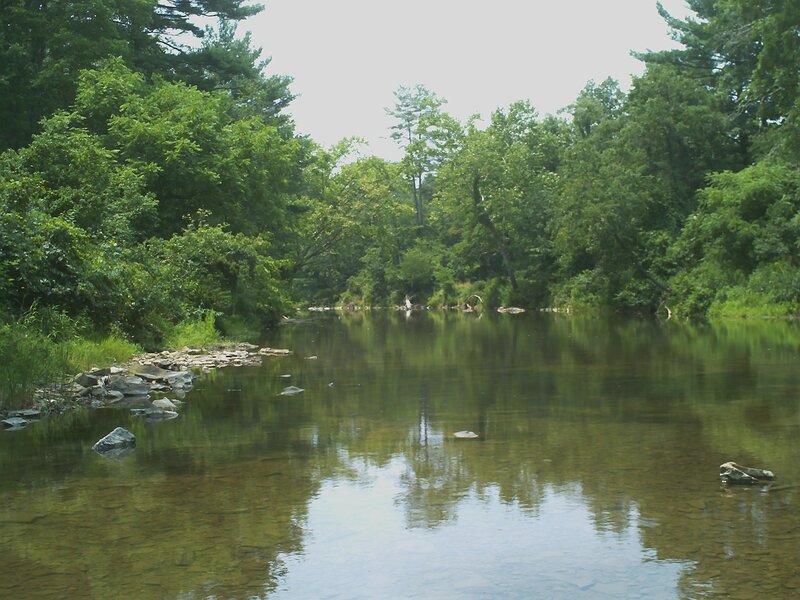 River in Forest — Green, Serene