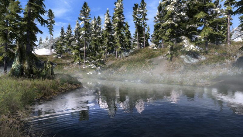 River in Forest — Green, Serene, Winter