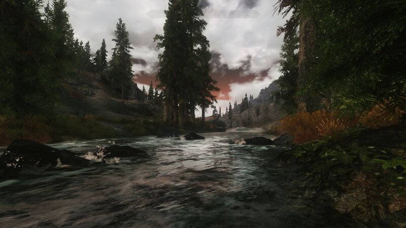 river in forest landscape
