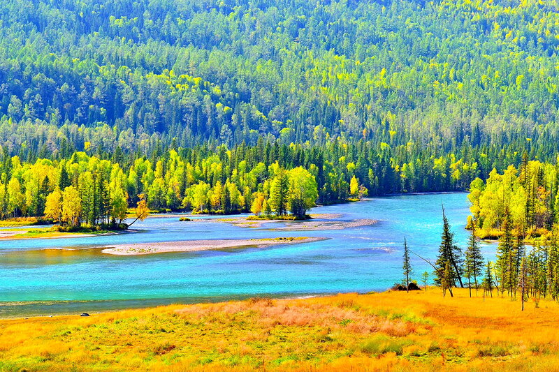 River in Forest Landscape — Blue, Serene, Autumn