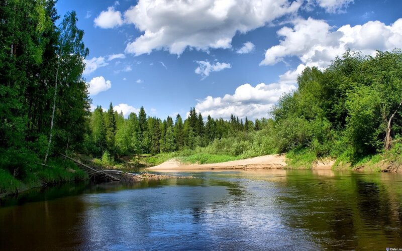 River in Forest Landscape — Blue, Serene