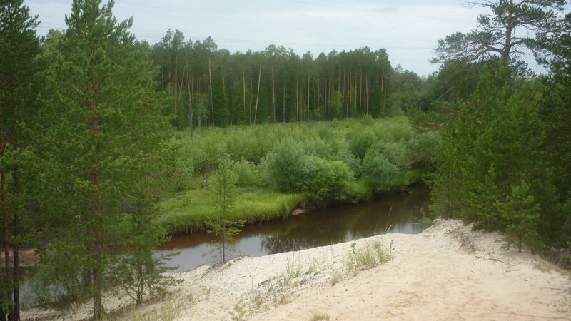 River in Forest Landscape — Green, Calm