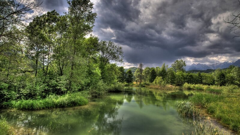 River in Forest Landscape — Green, Dramatic, Afternoon