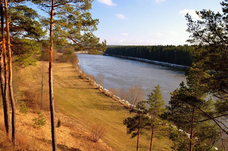 River in Forest Landscape — Green, Serene, Afternoon, Photograph, Trees, Grass