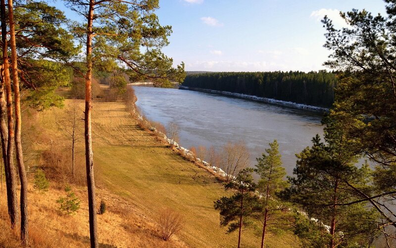 River in Forest Landscape — Green, Serene, Spring, Photograph