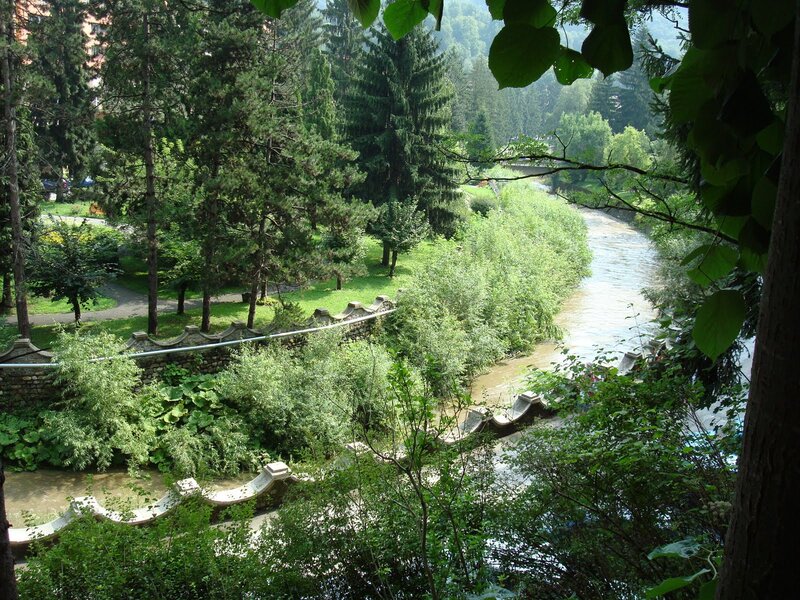 River in Forest Park — Green, Serene, Afternoon