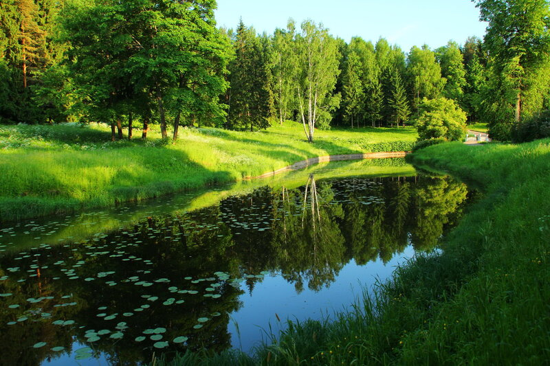 River in Forest Park — Green, Serene