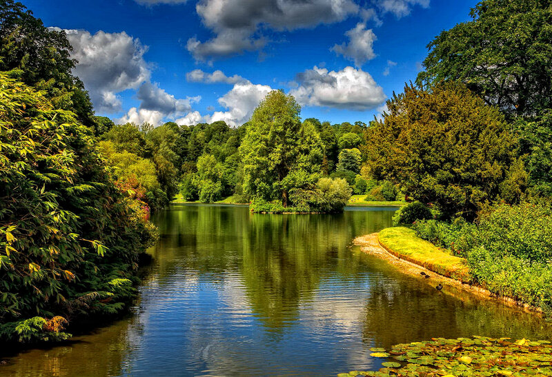 River in Forest Park
