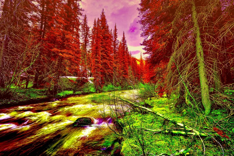 River in Forest — Red