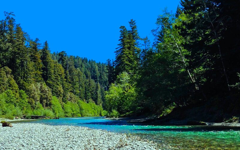River in Forest Valley — Blue, Serene, Afternoon