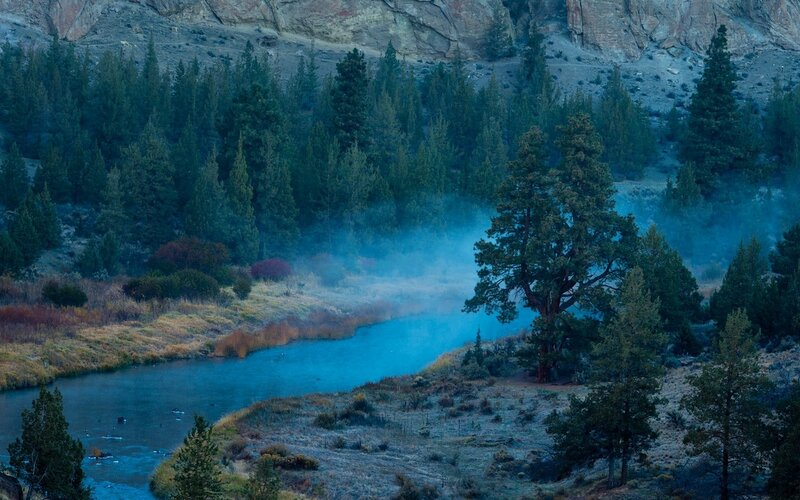 River in Forest Valley — Blue, Serene, Morning