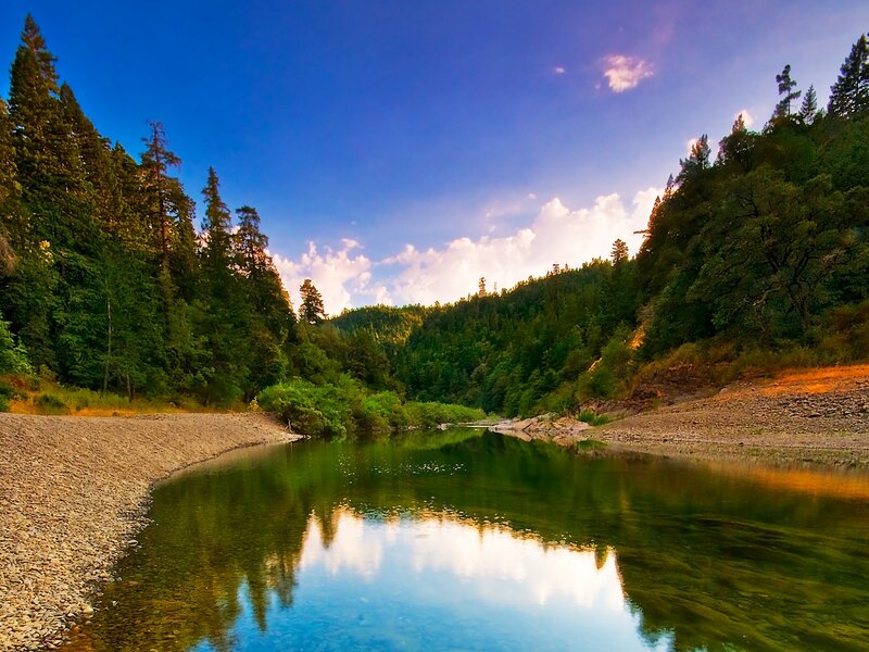 River in Forest Valley — Blue, Serene