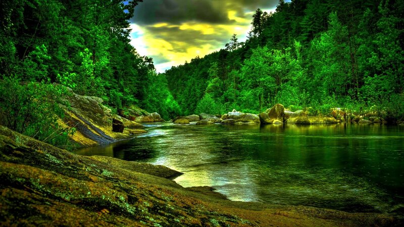 River in Forest Valley — Green, Dramatic, Afternoon, Photograph