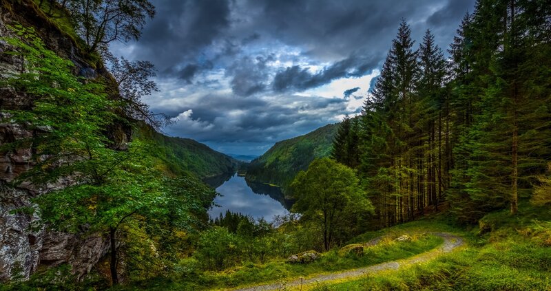 River in Forest Valley — Green, Dramatic, Afternoon, Photograph, Trees, Mountains