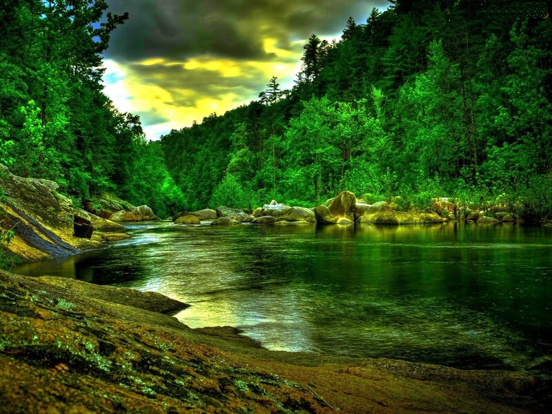 River in Forest Valley — Green, Dramatic, Afternoon, Photograph, Trees