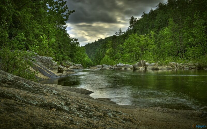 River in Forest Valley — Green, Dramatic, Afternoon