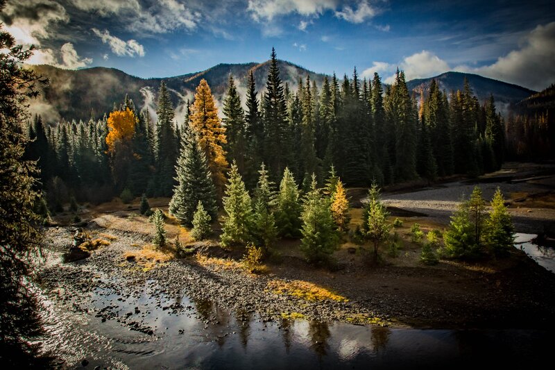 River in Forest Valley — Green, Dramatic, Autumn, Photograph