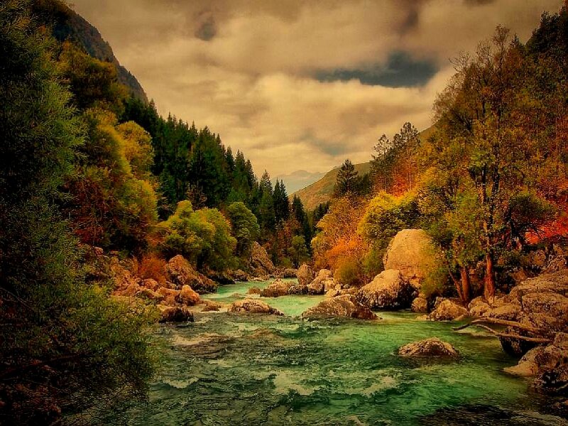 River in Forest Valley — Green, Dramatic, Autumn, Photograph, Trees, Rocks