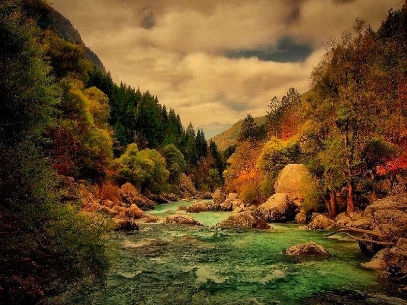River in Forest Valley — Green, Dramatic, Autumn