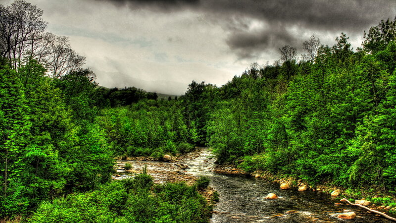 River in Forest Valley — Green, Dramatic, Photograph, Trees, Rocks