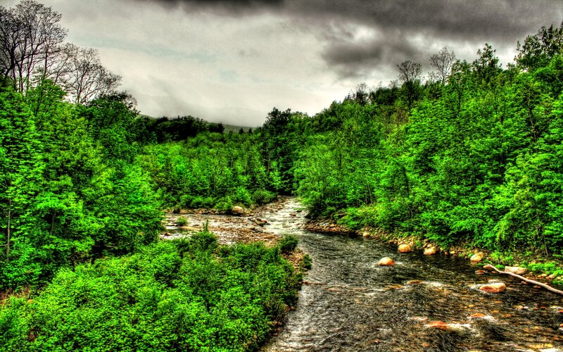 River in Forest Valley — Green, Dramatic, Photograph, Trees