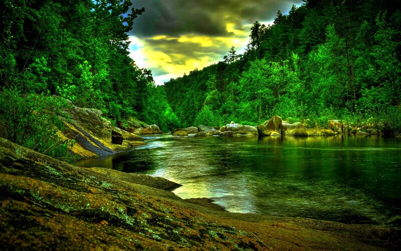 River in Forest Valley — Green, Dramatic, Sunset, Photograph, Trees