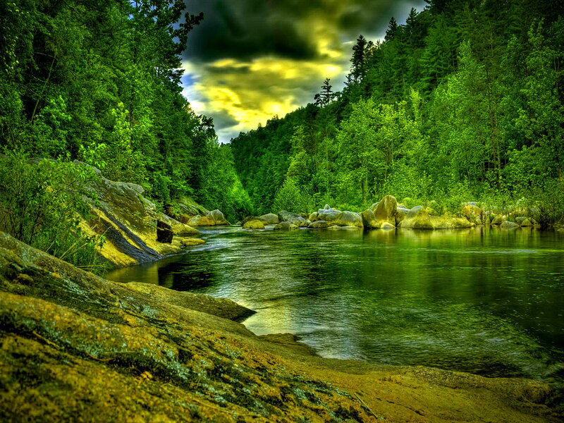 River in Forest Valley — Green, Dramatic