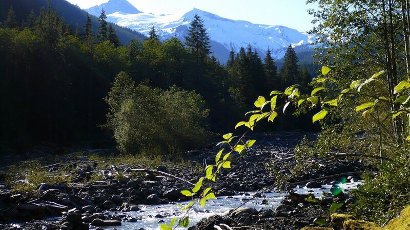 River in Forest Valley — Green, Serene, Afternoon, Photograph, Mountain, Trees, Stream