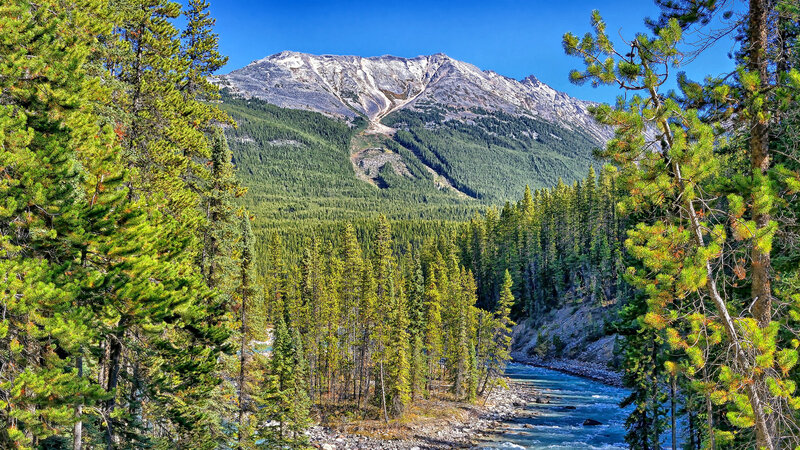 River in Forest Valley — Green, Serene, Afternoon, Photograph, Mountain, Trees