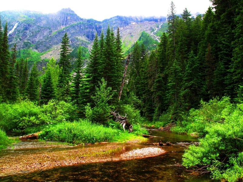 River in Forest Valley — Green, Serene, Afternoon, Photograph, Mountains, Trees