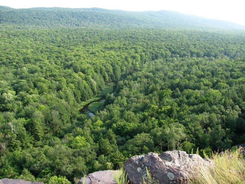 River in Forest Valley — Green, Serene, Afternoon, Photograph, Rocks
