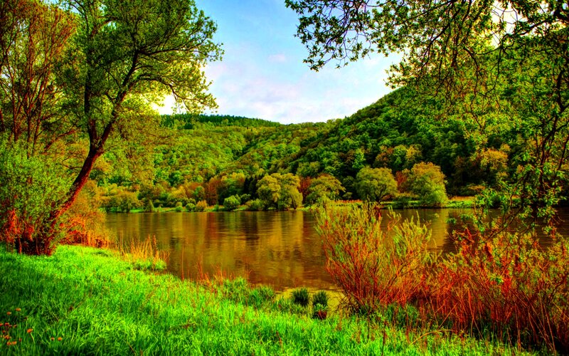 River in Forest Valley — Green, Serene, Afternoon, Photograph, Trees, Hills