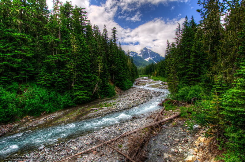 River in Forest Valley — Green, Serene, Afternoon, Photograph, Trees, Mountain, Sky