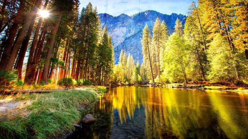River in Forest Valley — Green, Serene, Afternoon, Photograph, Trees, Mountain, Sunlight