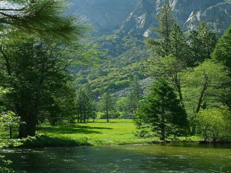 River in Forest Valley — Green, Serene, Afternoon, Photograph, Trees, Mountain