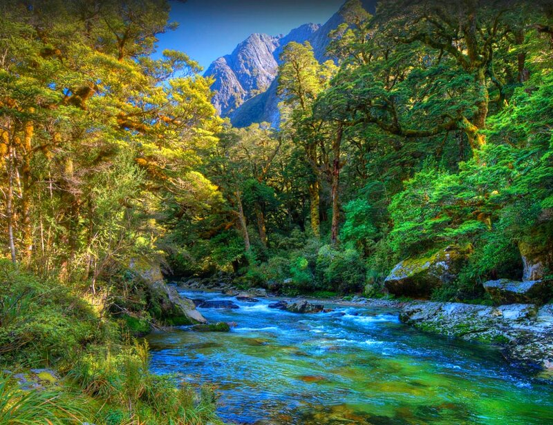 River in Forest Valley — Green, Serene, Afternoon, Photograph, Trees, Mountains, Rocks